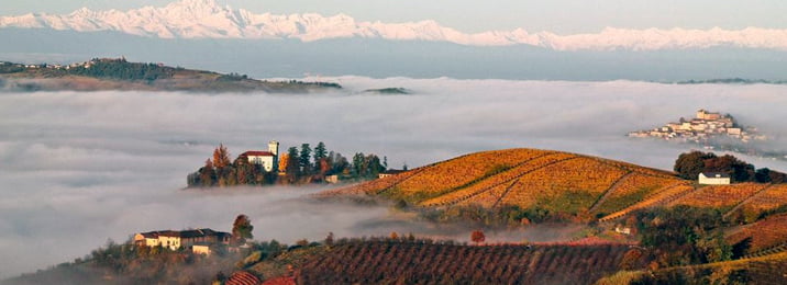 Read more about the article Piedmont: The Barolo and Barbaresco Mists