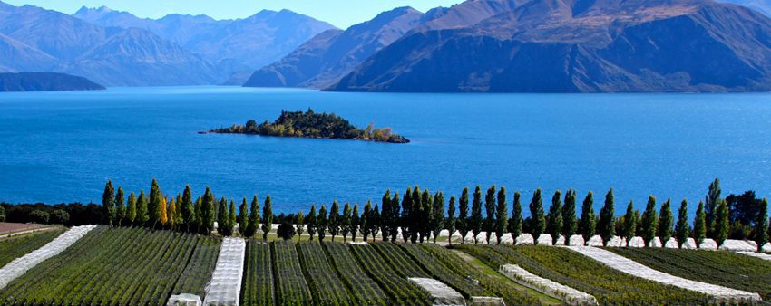 Read more about the article New Zealand: French countryside