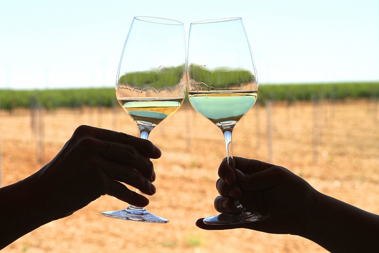 Read more about the article Verdejo: the grape of Rueda and the variety of Finca Montepedroso
