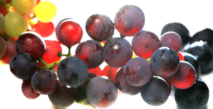 Lee más sobre el artículo El envero: la uva cambia de color