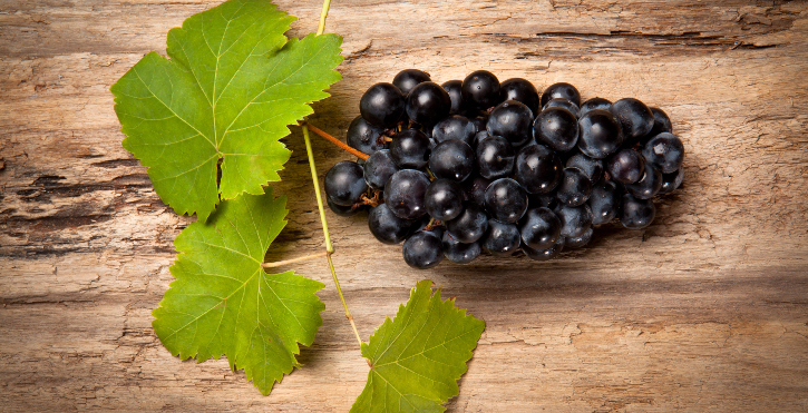 Read more about the article International Grenache Day #GrenacheDay
