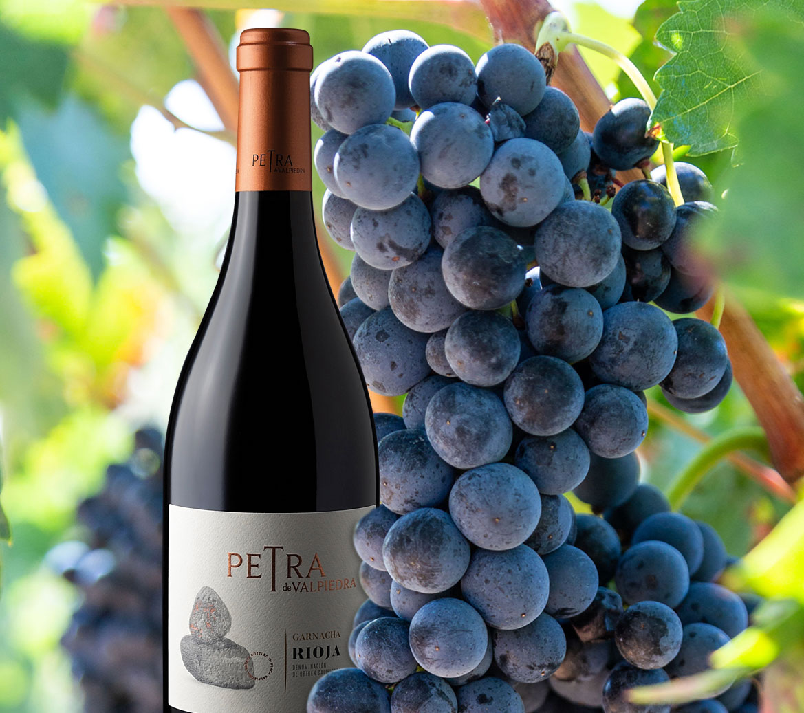 Read more about the article Grenache, versatility and elegance