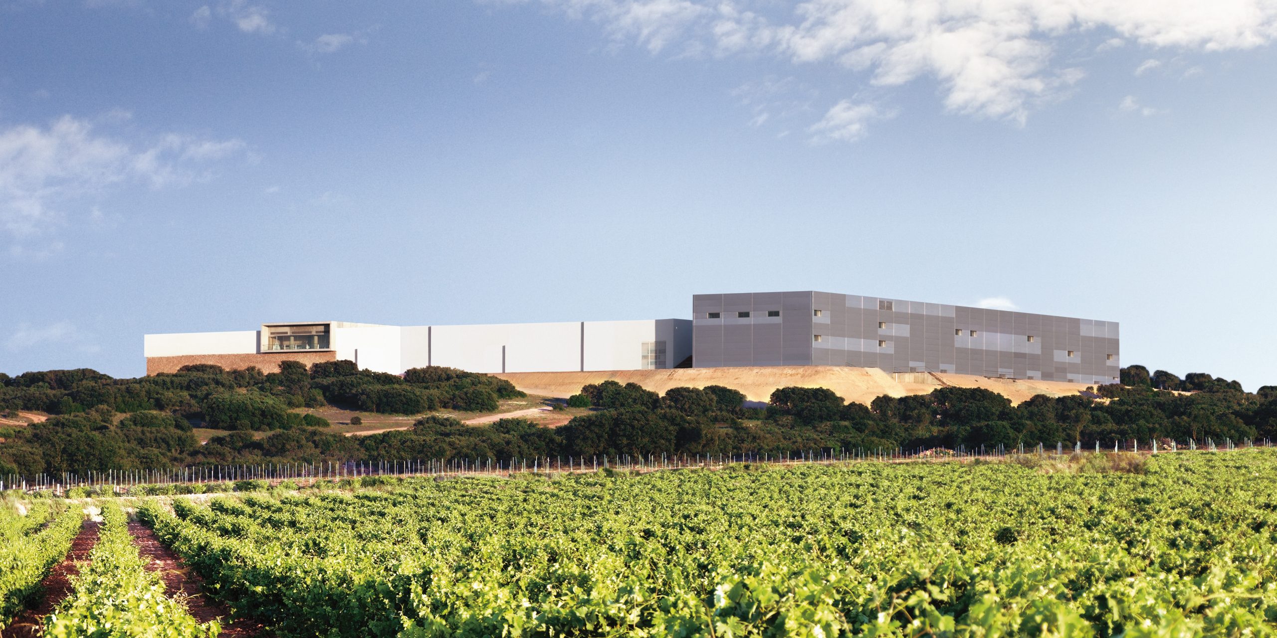 Lee más sobre el artículo Finca Antigua, eficiencia y sostenibilidad en un marco vitivinícola incomparable