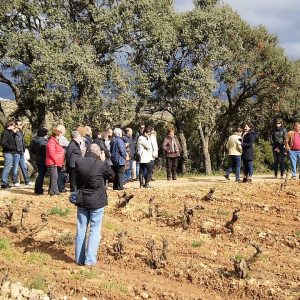 Soul of Valpiedra: 4×4 Vineyeard Experience (35 €)