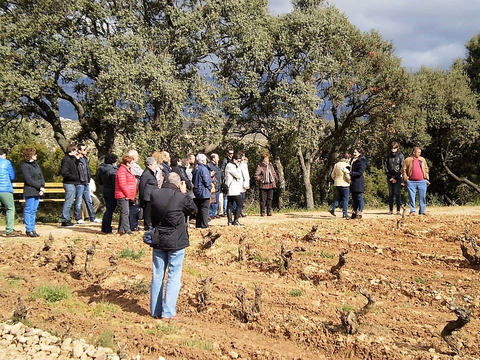 Visita Esencial (22 €) - Imagen 9