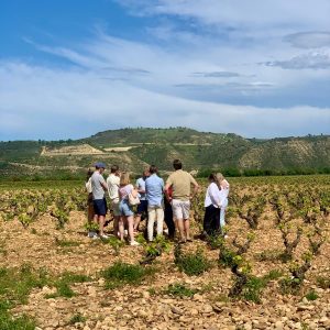 Sabores del Ebro: Vino y Picnic a orillas del río (80 €/persona)
