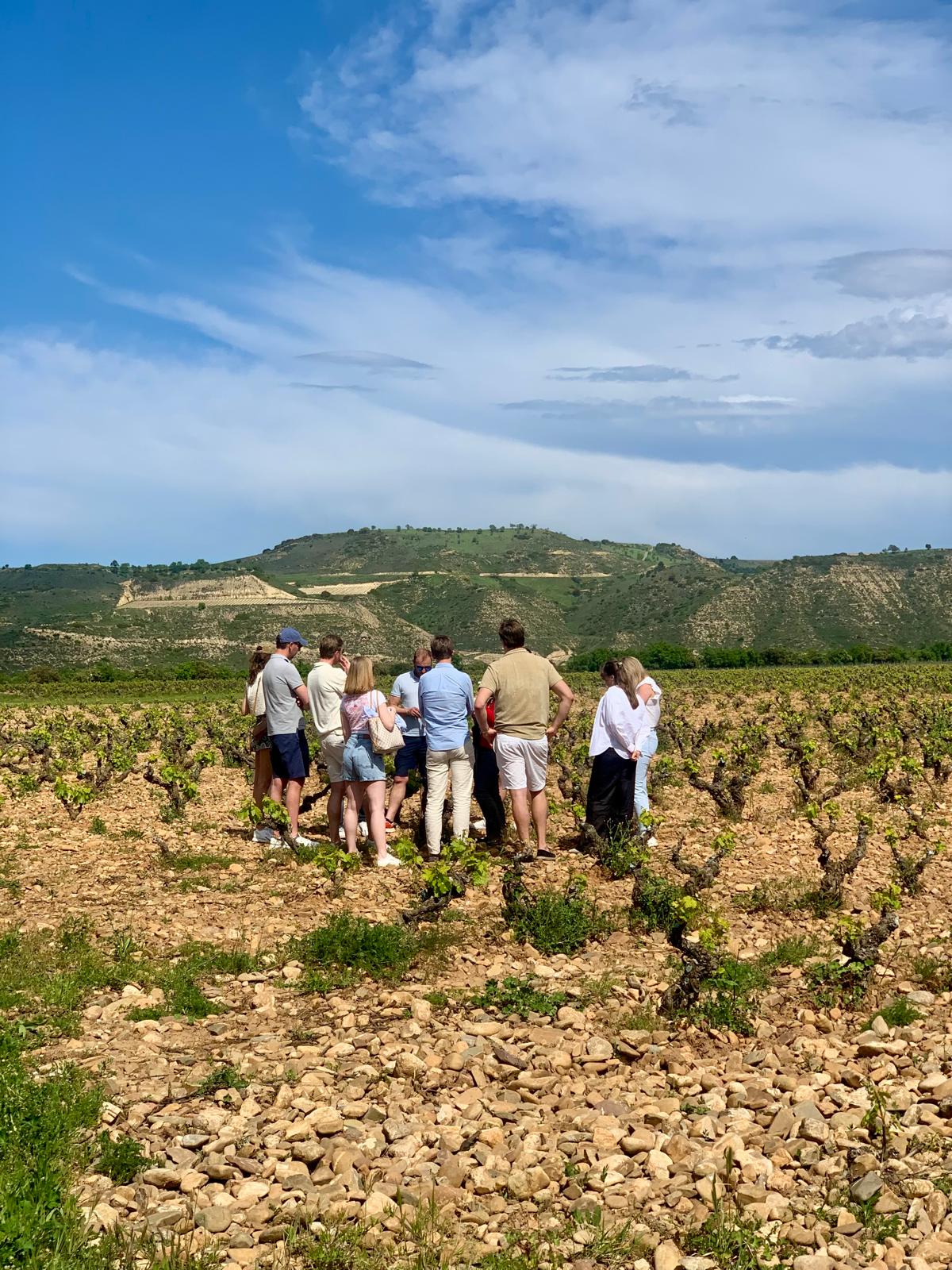 Essential Visit Finca Valpiedra(22 €) - Image 8