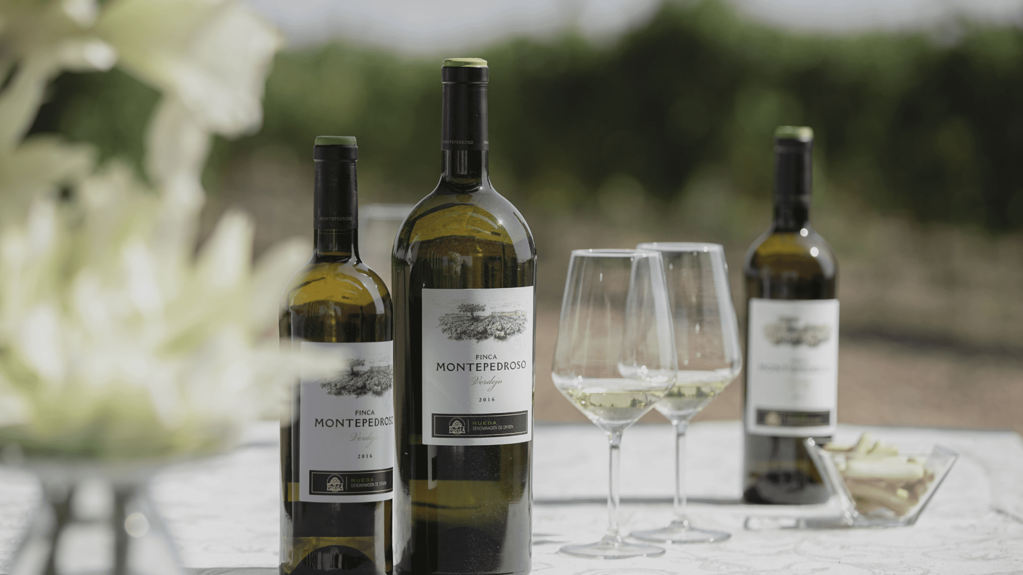 Read more about the article A return to the authentic verdejo at Finca Montepedroso