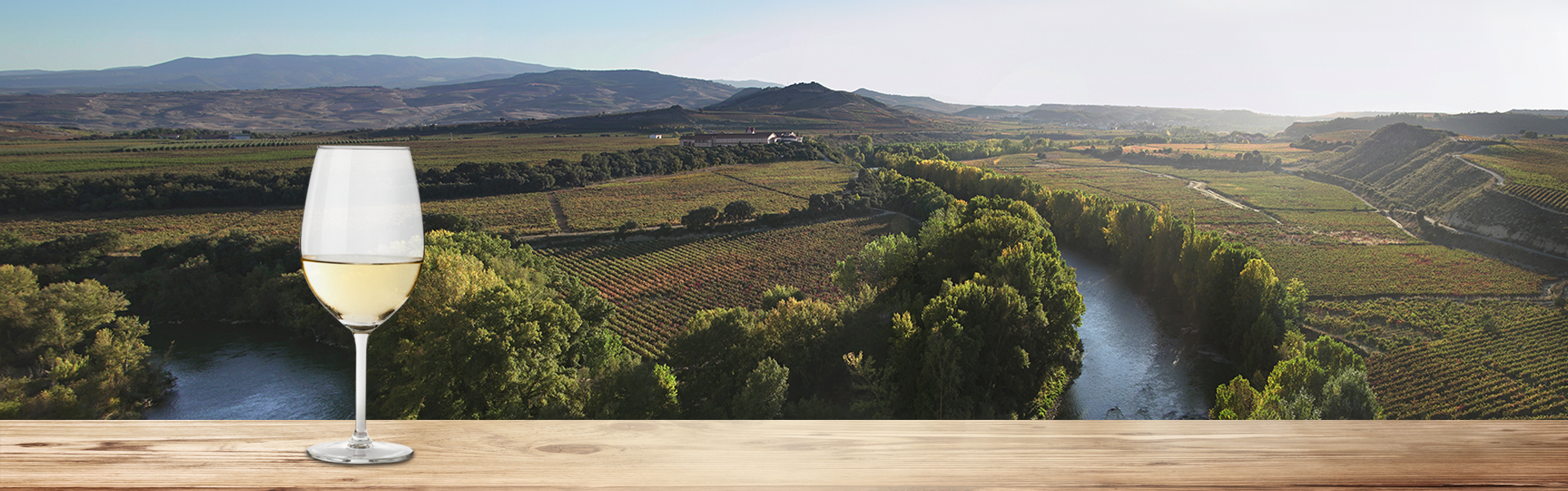 Soul of Valpiedra: 4x4 Vineyeard Experience (35 €) - Image 12