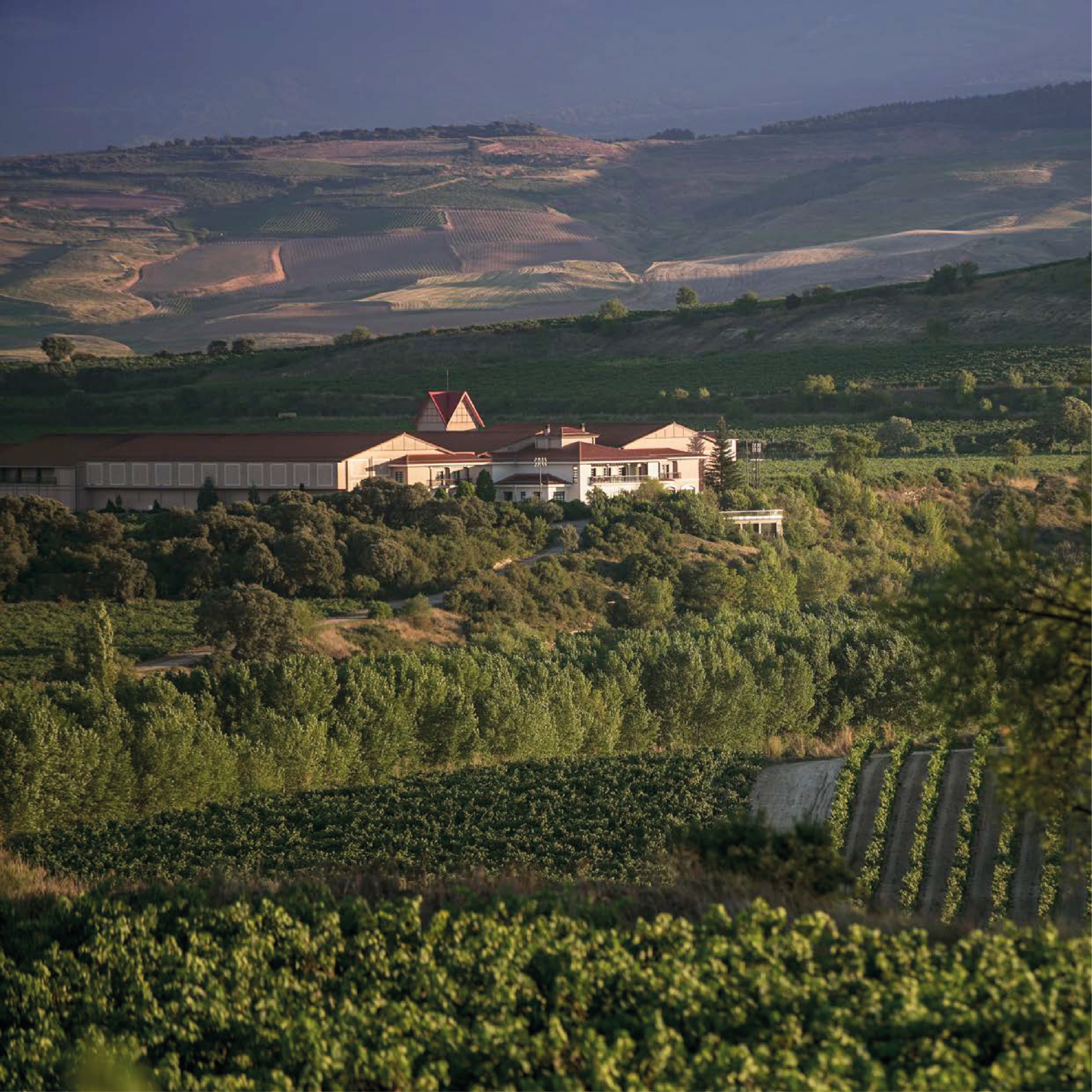 Alma de Valpiedra: experiencia 4x4 entre viñedos (35 €) - Imagen 2