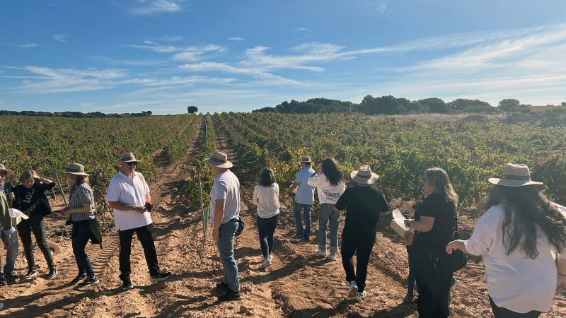 PARCELA PICO GARBANZO