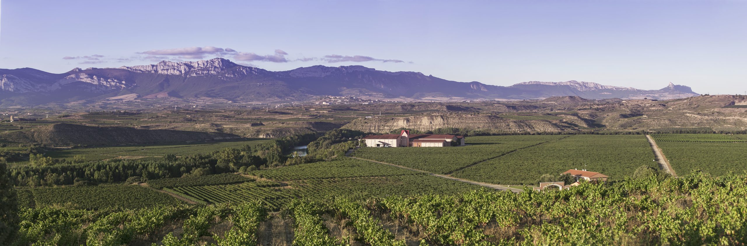 Flavours of the Ebro: Tasting and picnic by de Riverside (80 €/person) - Image 4