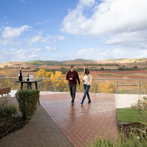 Visita Esencial (22 €)