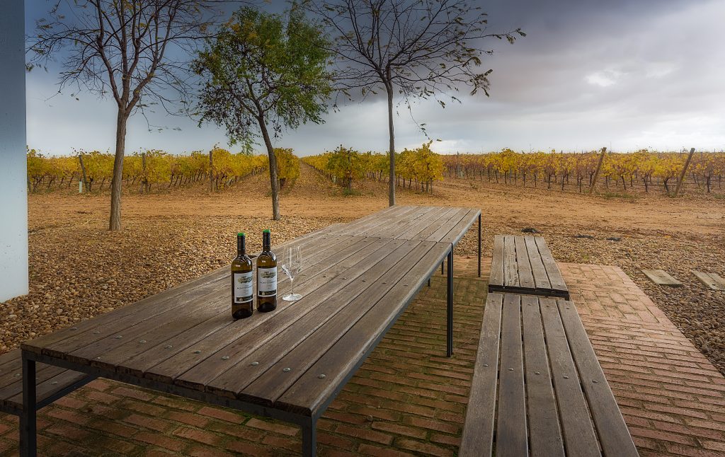 Otoño en Finca Montepedroso