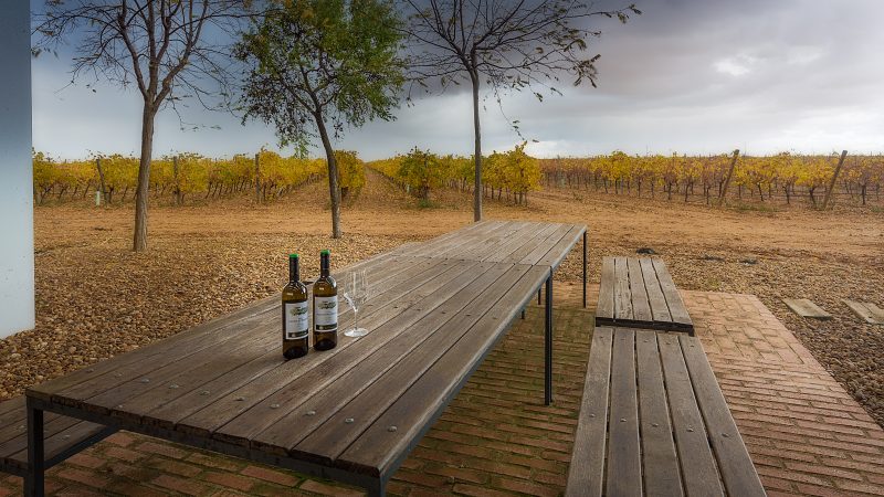 Autumn at Finca Montepedroso