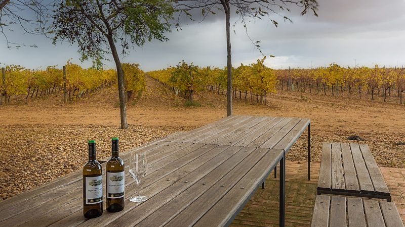 Otoño en Finca Montepedroso