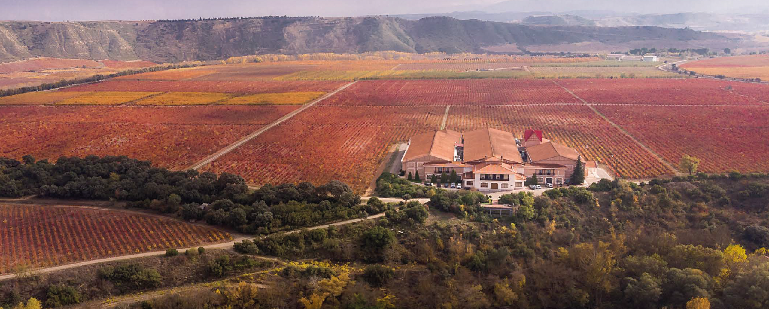 Soul of Valpiedra: 4x4 Vineyeard Experience (35 €) - Image 7