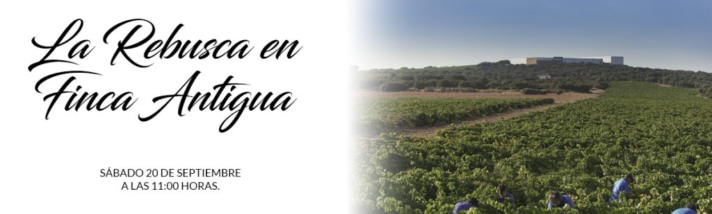 Garnacha