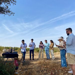 VISITA PREMIUM PICO GARBANZO (49 €/persona)