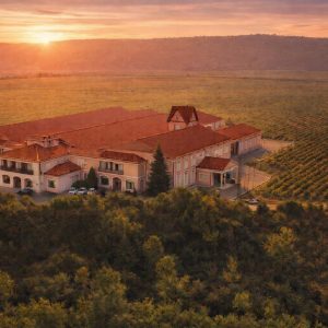 Visita Esencial (22 €)