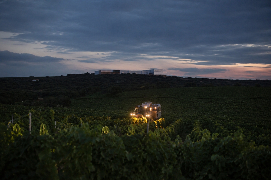 night harvest
