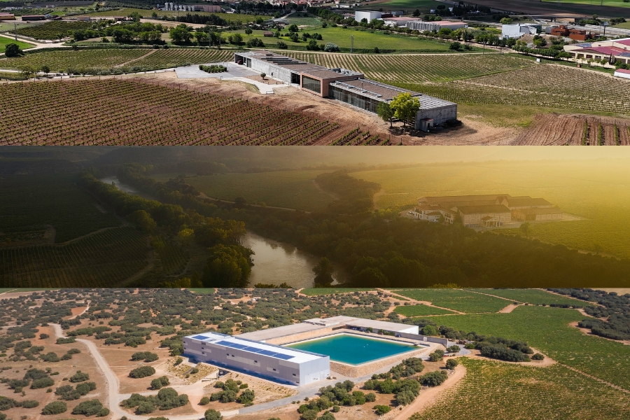 FMB Wine Tourism